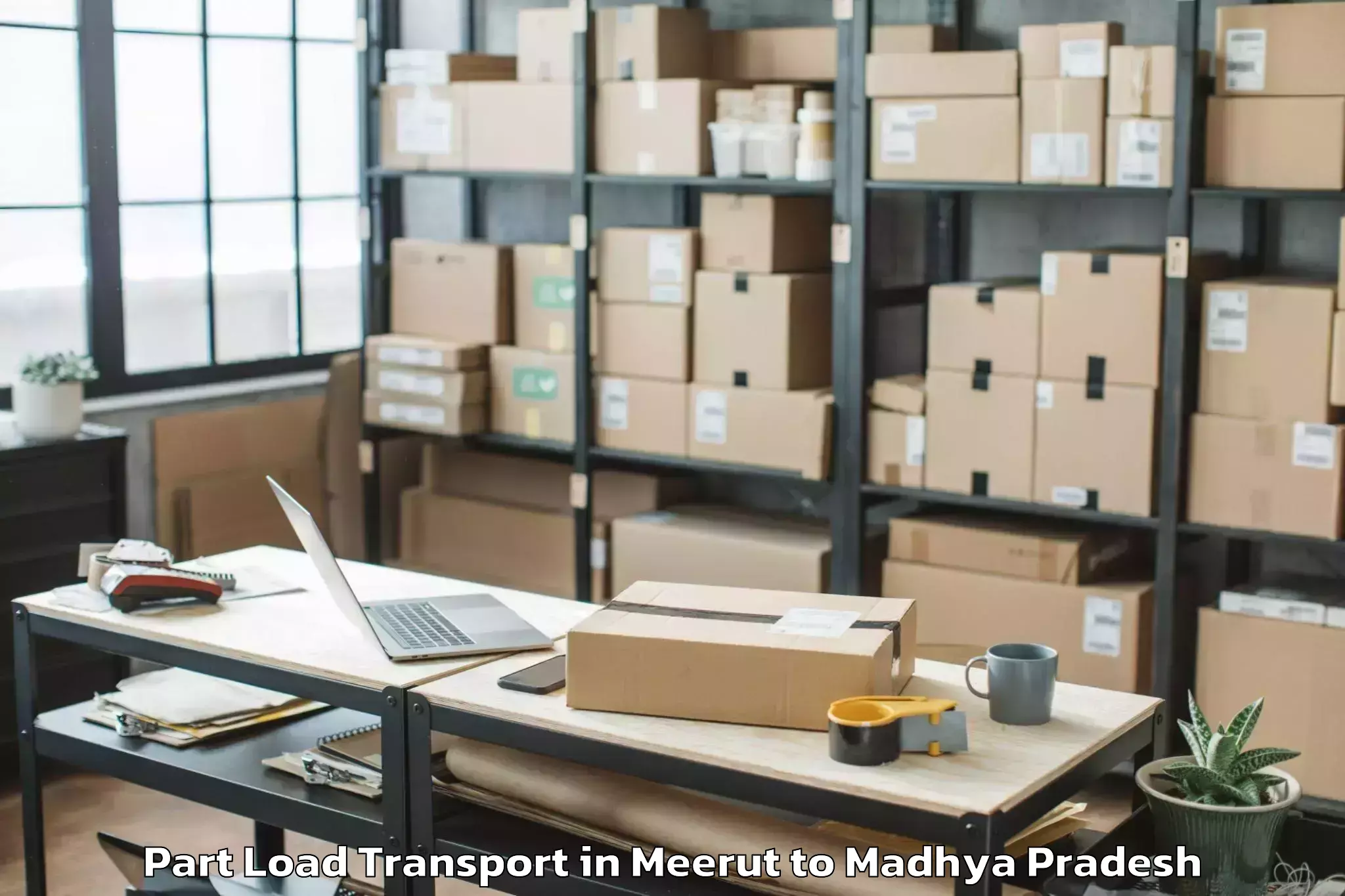 Expert Meerut to Dabra Part Load Transport